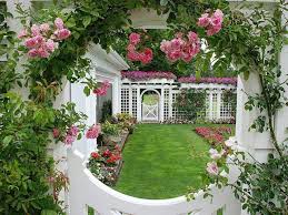 11,747 likes · 49 talking about this. Puteri Manja Pokok Bunga Ros Taman Indah Pertamanan Belakang Rumah Taman Luar Ruangan