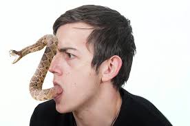 Free for commercial use no attribution required high quality images. Snake Tongue Tom Kris Matthews Flickr