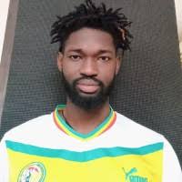 30+ "Laye Samb" profiles