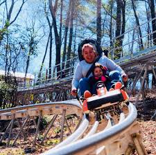 The nacoochee mound archaeological site in helen, georgia, usa. About Georgia Mountain Coaster