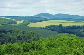 Beautiful landscape with a pond and an. Rolling Hills Hongarije