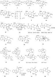 Image result for Voacanga pachyceras