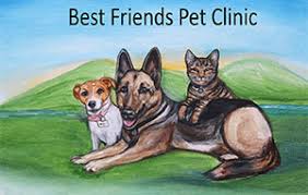 If you want to go on trips without being hassled about your animal companion, or need to find a new place to live without paying unfair additional fees, then you need to. Best Friends Clinic Off 58 Www Usushimd Com