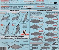 flounder 101 how to catch flounder hunting fishing gear