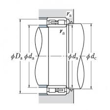 Double Row Cylindrical Roller Bearings Nsk