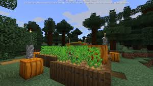 We'll let you know how you can get them soon. Bedrock Minecraft Realm New Server Invite Code Pure Survival Realms Multiplayer Minecraft Minecraft Forum Minecraft Forum