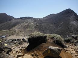 「久住山」の画像検索結果