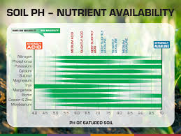 Ph Basics Aptus