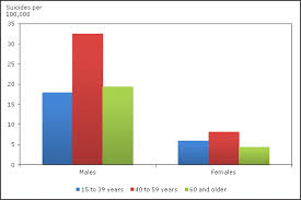 Chart 4 Suicides Per 100 000 By Age Group And Sex Canada 2009
