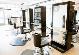 Dzeliwe st, mbabane, swaziland city of swaziland. Venus Salon Styling Chair Free Shipping
