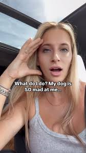 I really don’t think he’s gonna let me off easy with this one… ,  #dogsofinstagram #dogsofinsta #dogsofig #goldenretriever #goldenpuppy #dogs  #dog