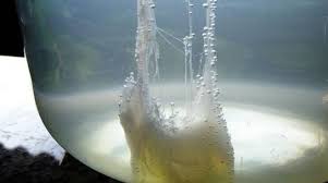 I filamenti creati all'interno del contenitore più il veliero apparirà bello, più ricco sarà il raccolto. Pronti A Fare La Barca Di S Pietro Per Chi Non Lo Sa Ecco Le Istruzioni Ciaocomo