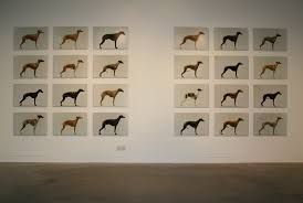 Twelve Dogs, Twelve Bitches, Pavilion — JO LONGHURST