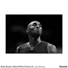 Black And White Picture Of Kobe Bryant Kobe Bryant Black White Picture Print Zazzle Com Kobe Bryant Quotes Kobe Bryant Poster Kobe Bryant Pictures