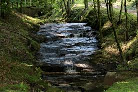 Asheville nc top 40 waterfalls. Chasing Waterfalls Near Asheville Western North Carolina The Coves Mountain River Club