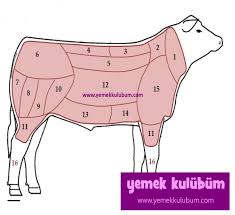 Kirmizi Et Nasil Alinir Dana Eti Nasil Alinir Dananin Bolumleri Kisimlari Nelerdir Dana Eti Rengi Nasil Olmali Dananin Neresinden Yemek Danca Dana Bonfile