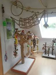 Bird And Pet Clinic Of Roseville Reviews Bird Room Ideas Are Addictive You Have Been Warned Spiffy Pet Products Bird Stand Parrot Toys Parrot Pet