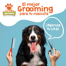 Clínica veterinaria y grooming Pet Paradise