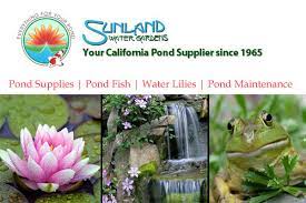 Maybe you would like to learn more about one of these? Sunland Water Gardens Pond Supplies Koi Fish Pond Plants