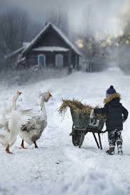 Winter Wonderland Winter Scenes Wonderland Winter Scenes Winter Wonderland