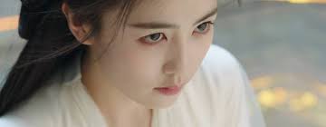 JUST MY OPINION.🥰 I recently watched **"The Last Immortal,"** and I was  particularly drawn to it because of Zhao Luzi. There hasn't been a single  C-drama of hers that I haven't enjoyed