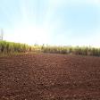Agricultural Land
