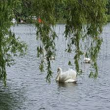 Pin Von Eiz Rostock Auf Mecklenburg Vorpommern Vorpommern Mecklenburg Vorpommern Mecklenburg