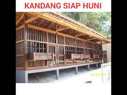 Kandang kambing yang sehat adalah kandang kambing yang mempunyai desain yang baik untuk pembuangan kotoran dan tempat untuk menaruh makanan kambing itu sendiri. Teknik Pembuatan Kandang Kambing Youtube