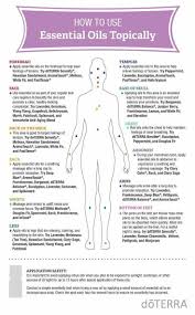 Essential Oil Points On The Body Essential Oils Best