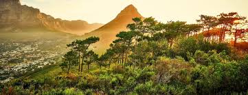 Nestled in the shadow of majestic table mountain, africa's mother city offers a. Cape Town Vacation Rentals Homes Western Cape South Africa Airbnb