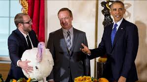 As the event gets closer, the turkeys become social media famous, with silly names like tater and. President Obama Gives Turkeys Mac And Cheese Full Thanksgiving Pardons Abc7 Chicago