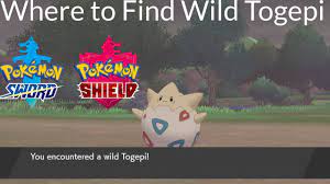 Hol dir pokémon shirts online! Pokemon Sword And Shield Where To Find Wild Togepi Youtube
