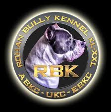 Our incredibullz team consistently produces tri colored xl bully puppies for sale that can work, show and most importantly add a fun loving member to the family. Rbk Rohan Xl American Bully Kennel Home Facebook