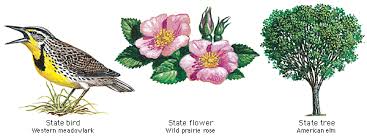 North Dakota State Bird Flower And Tree State Birds Bird North Dakota