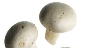 Keep reading to learn more about how to grow white button mushrooms and some white button mushroom information. White Button Mushrooms Bon Appetit
