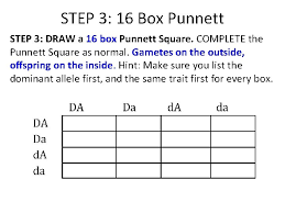 The simplest punnett square analyzes the outcomes of only a single gene, but more complex punnett squares can add any number of genes. How To Make A Punnett Square With 3 Traits