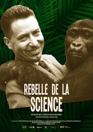 Wallonie Image Production