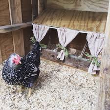 If left to their own devices they will find a place on their own, but. Pictures Of Chicken Nesting Boxes How To Build A Nest Box Backyard Chickens Learn How To Raise Chickens