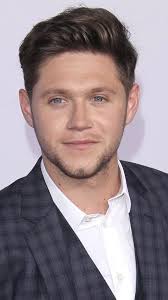 30 Times Niall Horan Was The Most Perfect Member Of One Direction In 2013