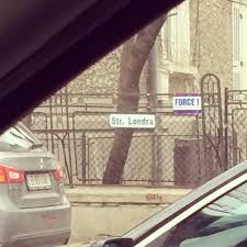 Acelasi program superperformant (ca si la. AdministraÈ›ia FinanÈ›elor Publice Sector 1 Government Building In DorobanÈ›i