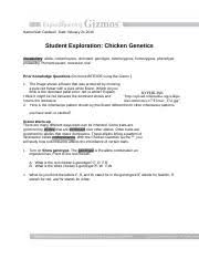 Genetics 24e Chicken Genetics Gizmo Worksheet Pdf Matthew Micallef Name Date Student Exploration Chicken Genetics Vocabulary Allele Codominance Course Hero