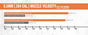 Unexpected 300 Weatherby Magnum Ballistics Chart 257