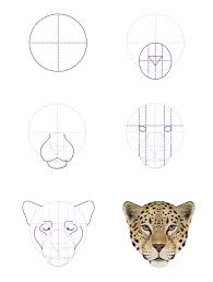 How To Draw Animals Big Cats Their Anatomy And Patterns Part 2 Leopard Drawing Animal Drawings Cat Drawing Tutorial