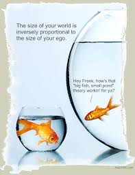 Images of the proverb 'the big fish eat the small. Quotes About Big Fish Small Pond 21 Quotes