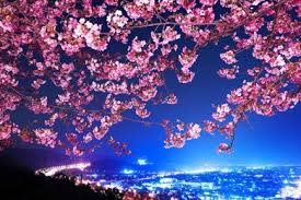 Maybe you would like to learn more about one of these? Cool Japanese Backgrounds Wallpapers