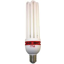 Compare prices & read reviews. Apollo Horticulture 125 Watt Cfl Compact Fluorescent Grow Light Bulb Of 2700k For Plant Growing Buy Online In Bahamas At Bahamas Desertcart Com Productid 1935420