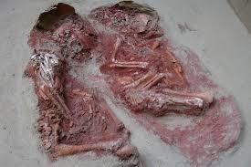 Latest research results identify the oldest twin burial in the world
