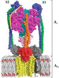 Se propuso un modelo estructural (inicial) que ha evolucionado y actualmente ha sido construido casi por completo