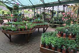 Hutton Garden Centre Home