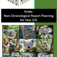 May 25, 2021 · trivia question: Koala Bundle Non Chronological Report Planning And Quiz For Year 5 6 Tour2teach